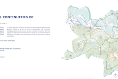 2.-CONTINUITES-SOCIO-ECOLOGIQUES-DE-LA-RESILIENCE
